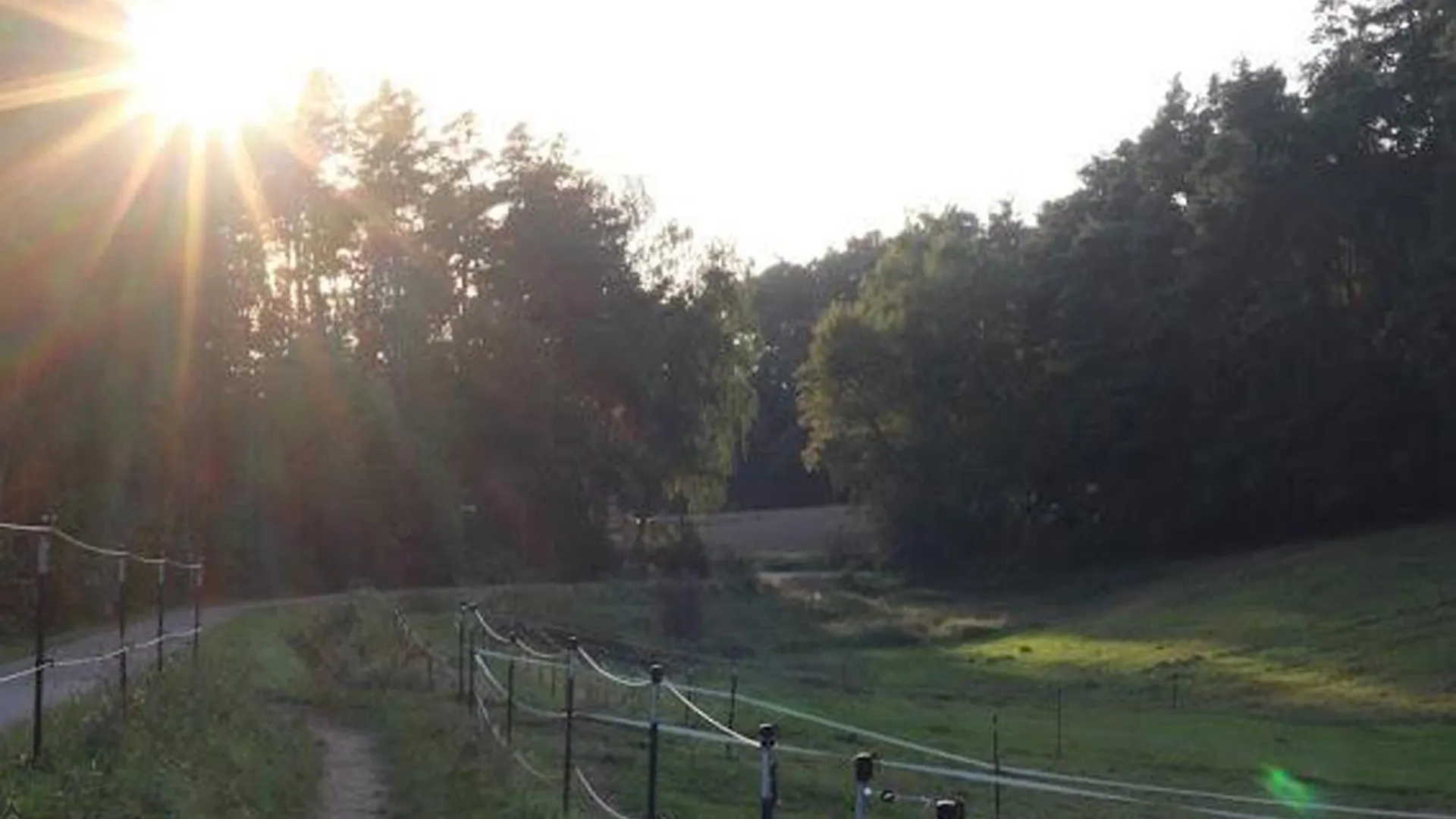 Heimerlmuehle Neunburg vorm Wald 0*,  Germany