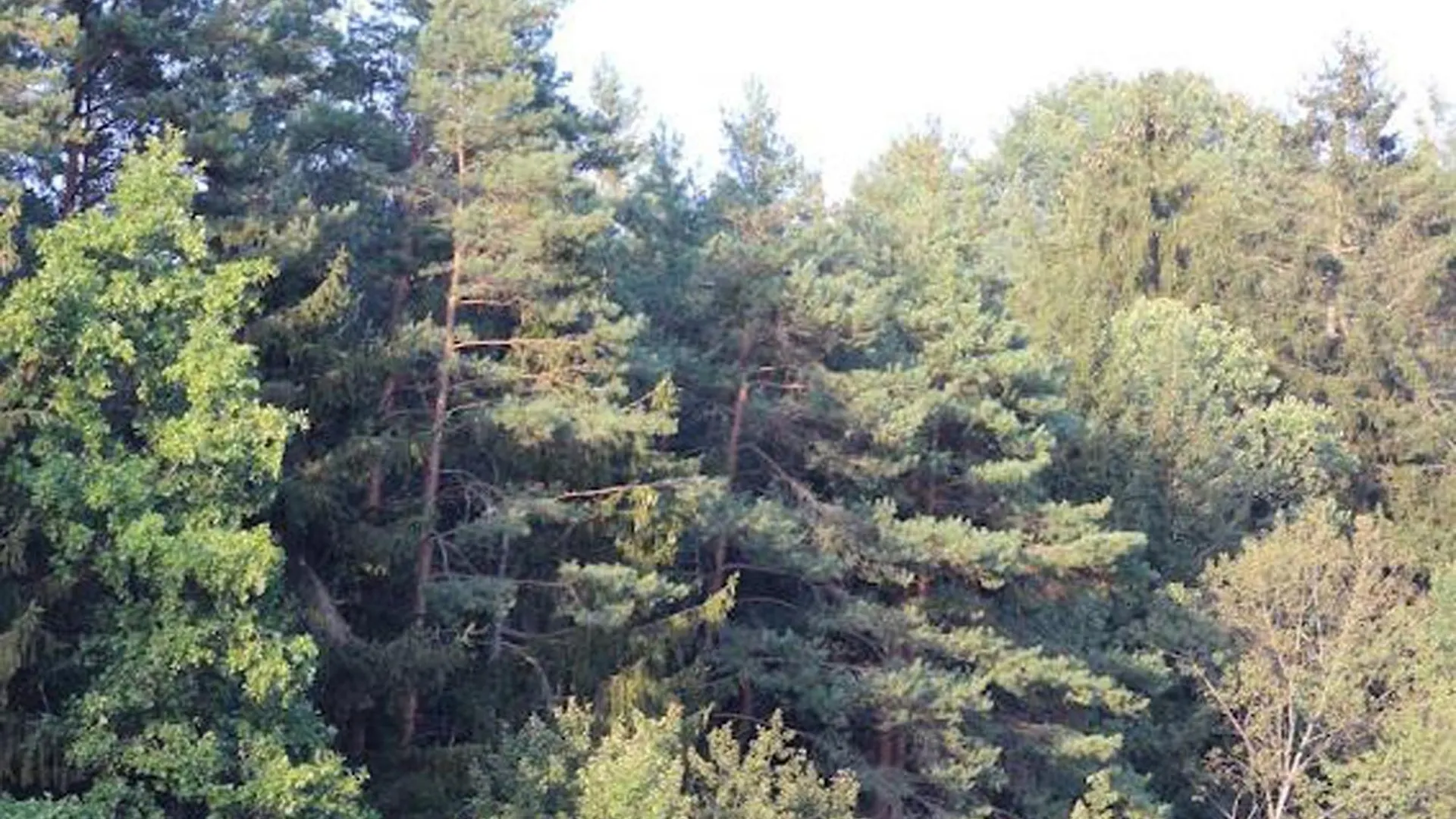 Apartment Heimerlmuehle Neunburg vorm Wald